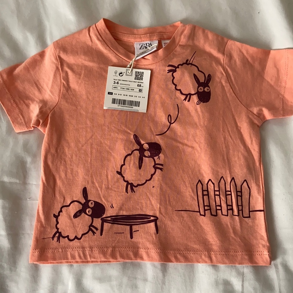 Zara baby tee